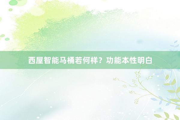 西屋智能马桶若何样？功能本性明白